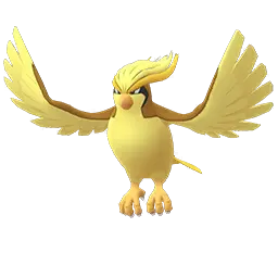 Pidgeot shiny