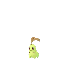 Chikorita shiny