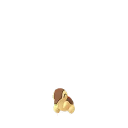 Cyndaquil shiny