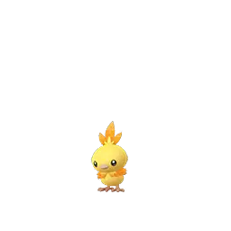 Torchic shiny