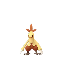 Combusken shiny