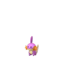 Mudkip shiny