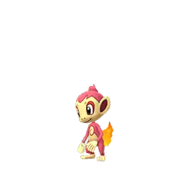 Chimchar shiny
