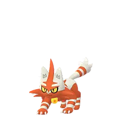 Torracat shiny