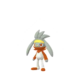 Raboot shiny